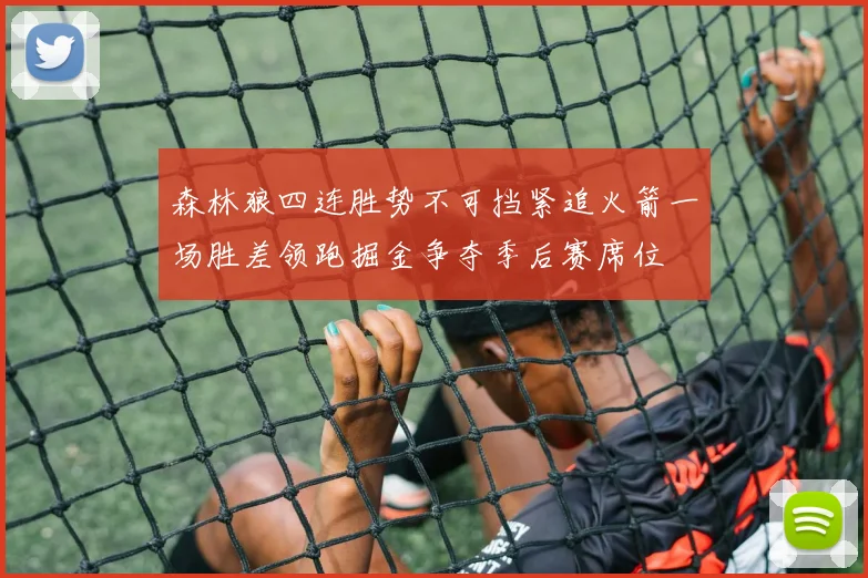 森林狼四连胜势不可挡紧追火箭一场胜差领跑掘金争夺季后赛席位