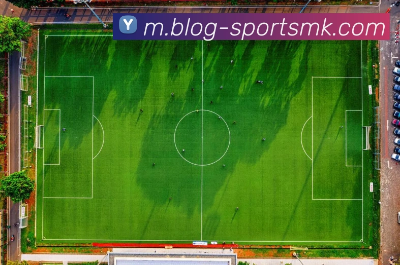 MK体育平台生态图